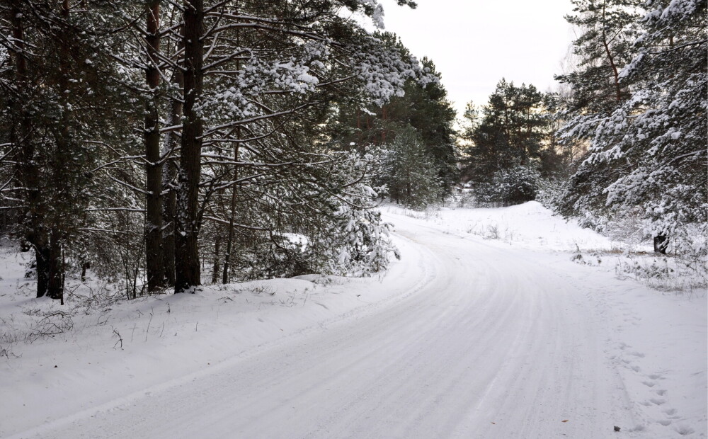Dagdā izveidojusies līdz šim dziļākā sniega sega Latvijā šoziem
