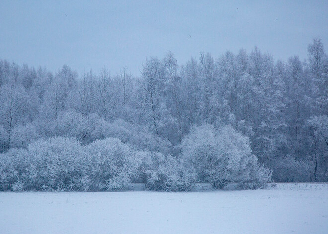 Latvijas lielāko daļu pārklājusi sniega kārta, austrumos tās dziļums sasniedz 21 centimetru