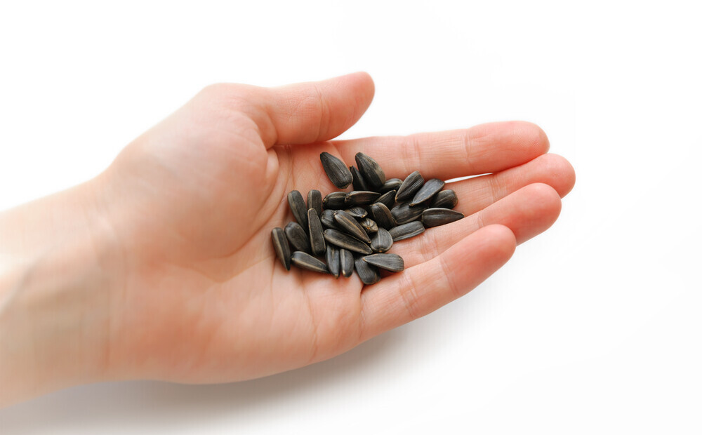 ест семечки. сердечко из семечек. приметы семечками. семечки в руках. семечки сердце.