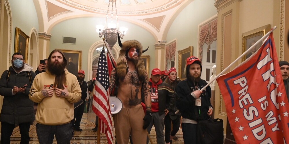 "Dažiem protestētājiem bija apkrāsotas sejas un ķermenis, viņi valkāja kostīmus. Vienam bija uzvilkta vikinga cepure, bariņš vicināja Trampa karogus"