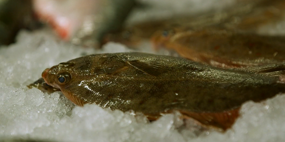 Tirgū pirktas zivis tumsā sāk spīdēt. Vai tās ir droši ēst?