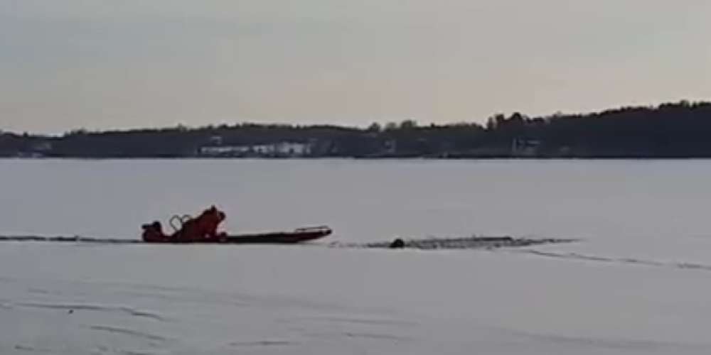 Видео: лыжник в Лиелварде чудом выжил, провалившись под лед