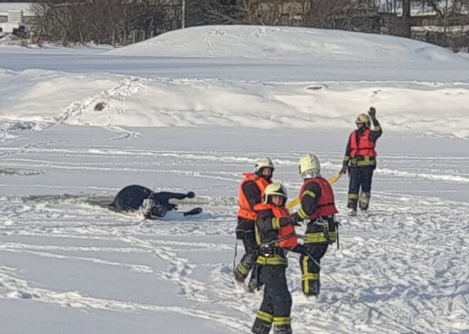 Dažu dienu laikā Rumbulā jau otro reizi ledū ielūst mājlopi