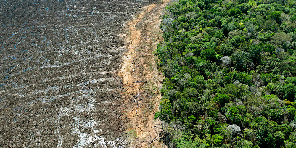Brazīlijai pēc pandēmijas nebūs naudas, ko tērēt Amazonei.