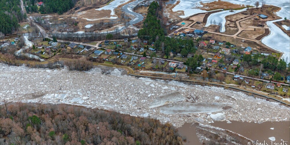 Gauja Carnikavā radījusi milzu ledus sastrēgumus, kas applūdina mājas, tīrumus, ielas, laukumus parkus.