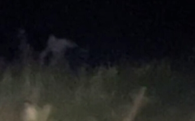 Daži šo tēlu pielīdzināja indiāņu folklorā sastopamajiem radījumiem.