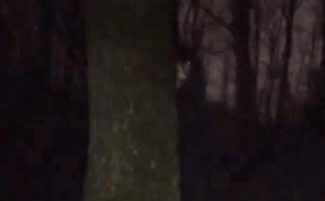 No koka stumbra aizmugures iznira cilvēkam līdzīga figūra ar biedējoši baltu seju.