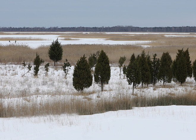 Valsts austrumos gaisa temperatūra pazeminājusies līdz -14 grādiem