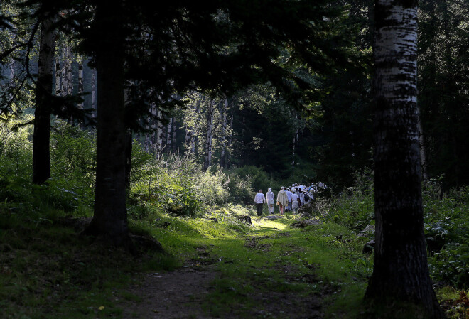Pastāv aizdomas, ka Visariona kopiena esot nodarbojusies ar nelikumīgu taigas mežu izciršanu, un draudzes līderu aizturēšanai esot visai maz sakara ar reliģisku darbību, pāri visam – bizness.