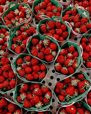 Zemeņu mīļotāji var būt mierīgi - Grieķijā siltā laika sezona sākas ātrāk, līdz ar to arī raža tiek novākta agrāk.