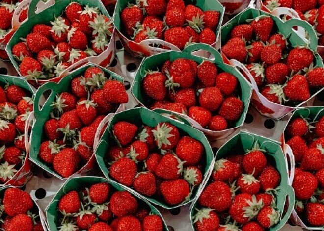 В Латвии появляется привозная клубника. Одна сплошная химия?