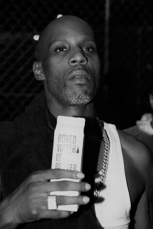 Reperis DMX.