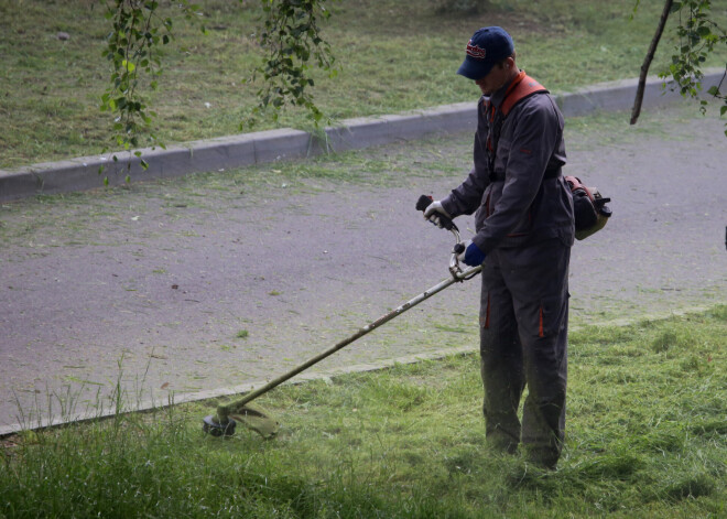 Dabas fonds iekops Rīgas pilsētas pļavas