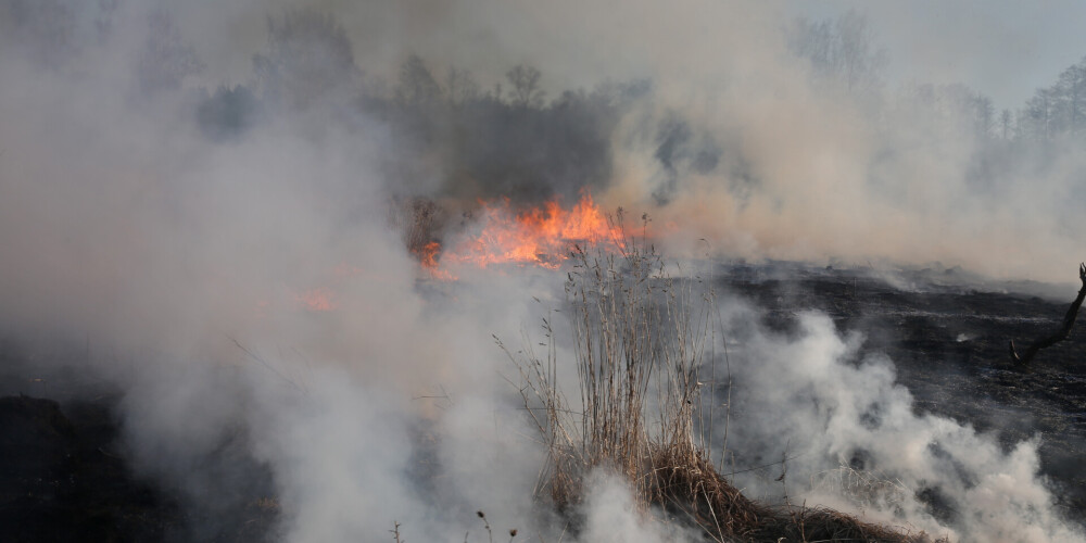 Ādažu militārajā poligonā dzēsts meža ugunsgrēks 17 hektāru platībā