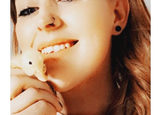 Утка вместо яичницы: девушка получила питомца, просто оставив яйца у батареи