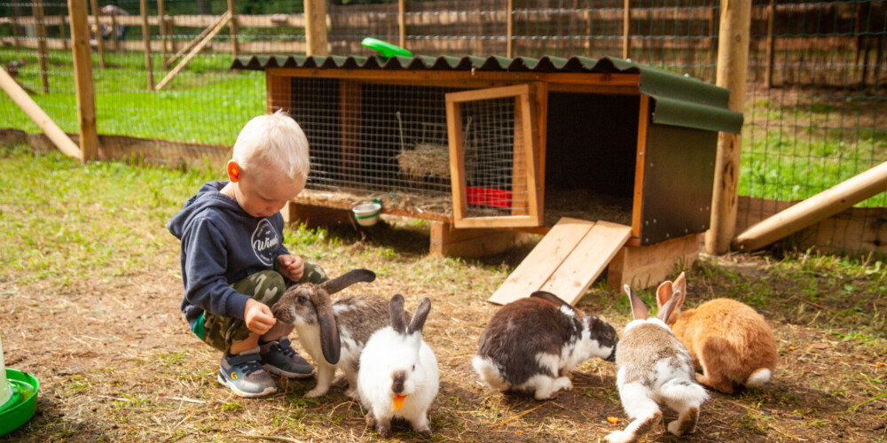 FOTO: Anneles Dzīvnieku dārzs Tērvetē uzbur Annas Brigaderes bērnības laiku