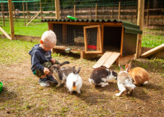 FOTO: Anneles Dzīvnieku dārzs Tērvetē uzbur Annas Brigaderes bērnības laiku