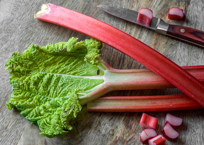 Recepšu izlase: kā no rabarberiem pagatavot gardus našķus