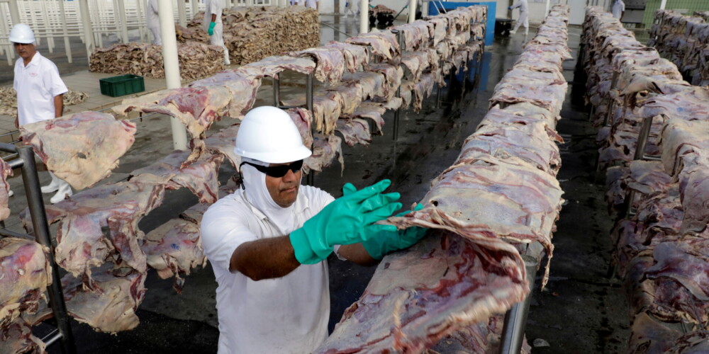 Pasaulē lielākais gaļas pārstrādātājs cietis kiberuzbrukumā, kurā izmantots izspiedējvīruss