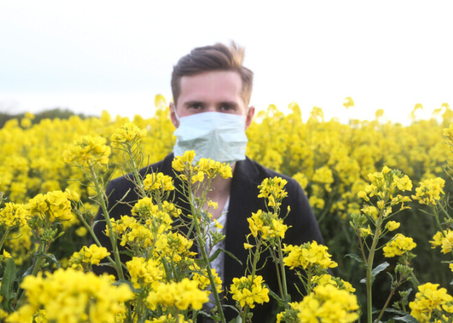 Фермеры призывают фотографироваться на рапсовых полях, экологи предупреждают: это опасно! Кто прав?