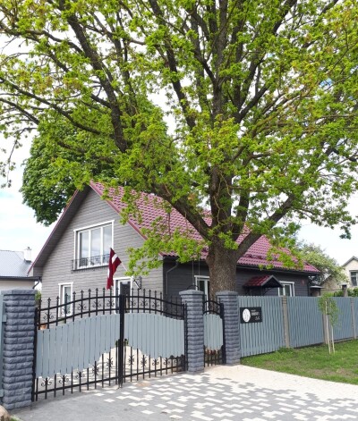 Namiņš ilgi stāvēja tukšs un pamests, līdz Luzeru ģimene tam iedvesa jaunu elpu. Pērn vasarā atbrauca sirms kungs ar saviem bērniem un mazbērniem un izstāstīja, ka ozolu pagalmā pirms 79 gadiem stādījis viņa tēvs, piedzimstot vecākajam dēlam.