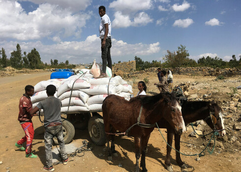 ANO eksperti brīdina, ka aptuveni 350 000 cilvēku Etiopijā cieš badu un kļūs vēl sliktāk