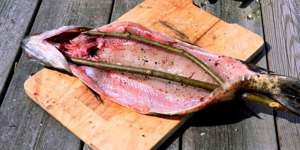 Trīs receptes, kā pagatavot vasarīgas zivis: līdaku, zandartu un līni