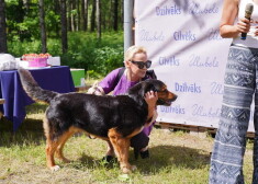 FOTO: aizvadīts dzīvnieku patversmes "Ulubele" 11 gadu svētku pasākums