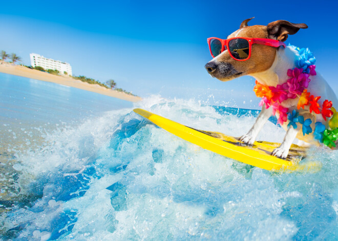 Чего стоит ожидать знакам зодиака в июле 2021 года