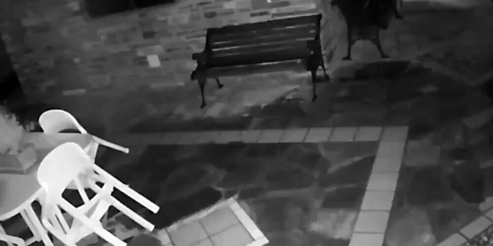 Losifs vēlējās noskaidrot patiesību, tāpēc viņš iegādājās videonovērošanas sistēmu.  