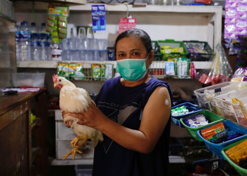 В Индонезии предлагают вакцинироваться от Covid-19 в обмен на кур. Количество желающих резко возросло!