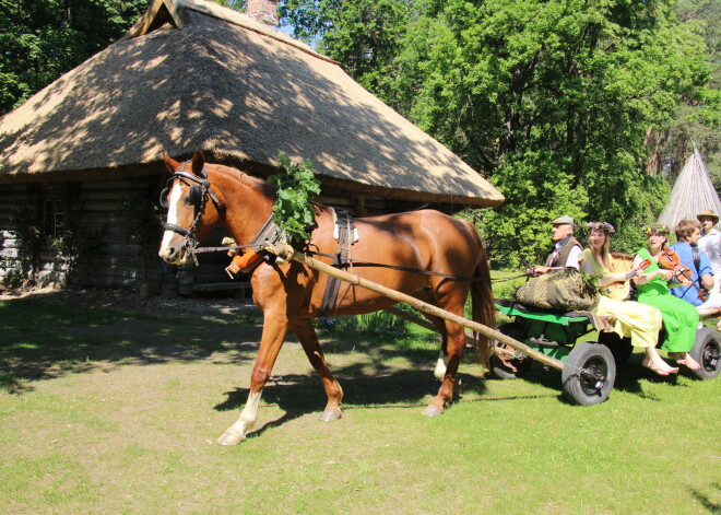 FOTO: tradīcijām bagāti un krāšņi Brīvdabas muzejā ielīgoti Jāņi