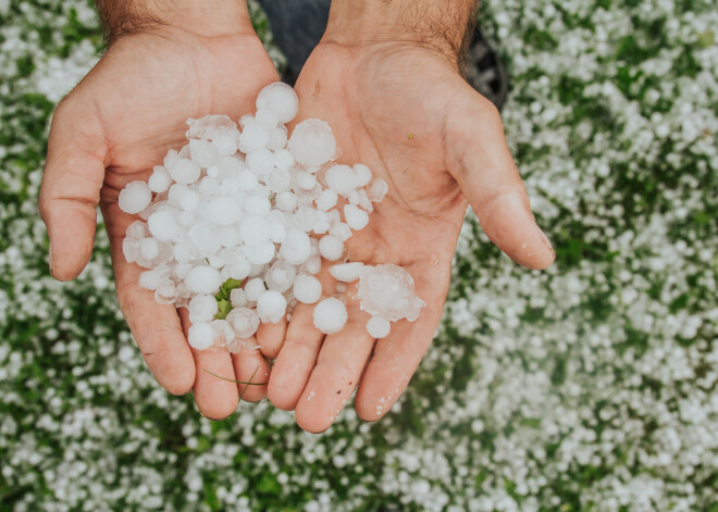 Прогноз погоды на Янов день: возможны разрушительные порывы ветра, сильный град и ливень