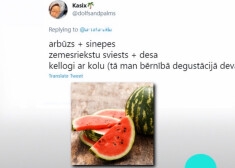 Sieviešu formastērpi vīriešiem un arbūzs ar sinepēm. Sapinušies tīklos 13. sērija.