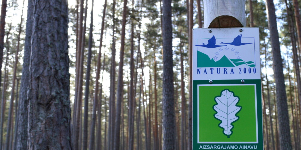 Vai mežam aizsargājamā teritorijā ir lielāka vērtība nekā citviet?