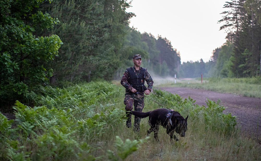 Lithuanian border guards have detained 150 illegal immigrants during the day