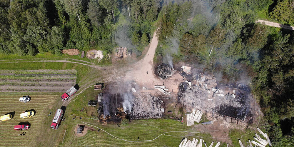 Postošā ugunsgrēkā pazīstamajā saimniecībā "Trušu karaliste" gājuši bojā ap 200 trušu un 23 cūkas