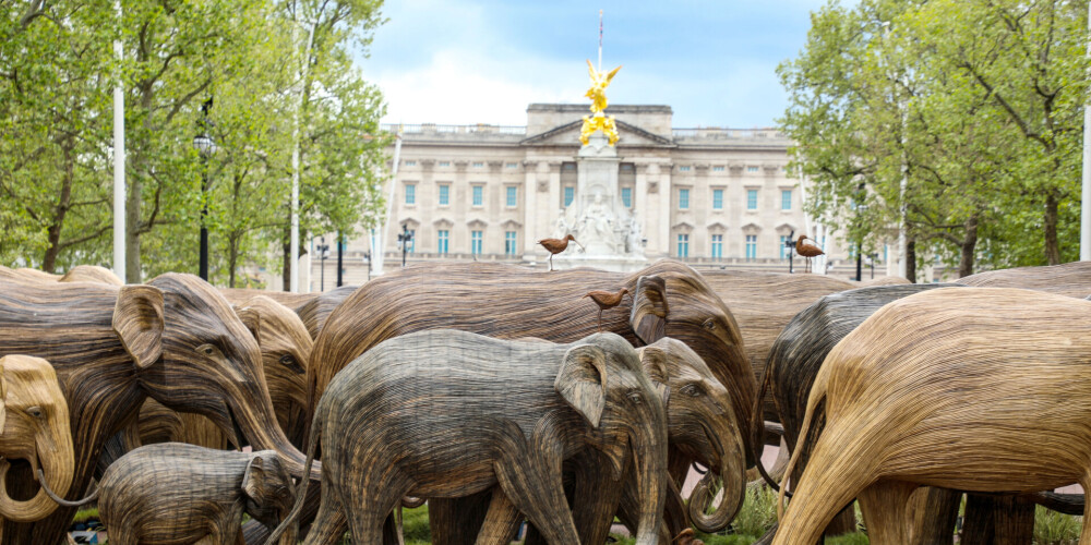 FOTO: 60 dabiska izmēra ziloņi Londonas parkos