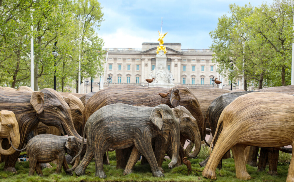 FOTO: 60 dabiska izmēra ziloņi Londonas parkos