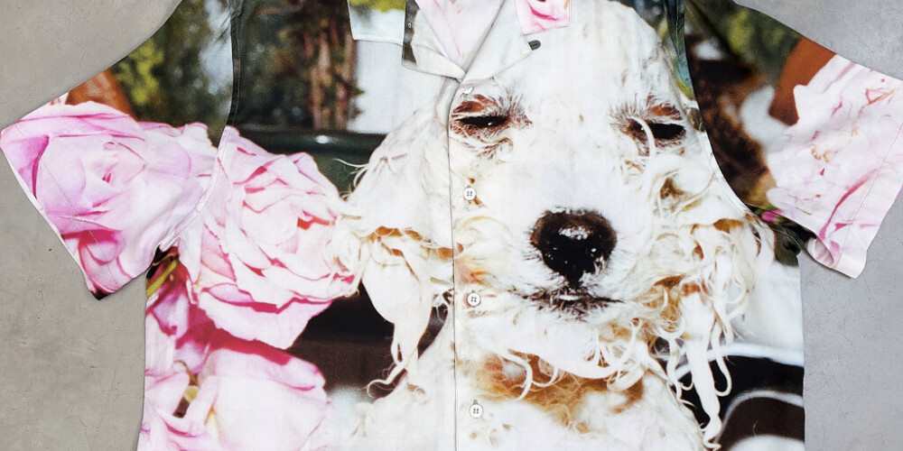 Мокрая собака и другие знаковые снимки Юргена Теллера теперь красуются на одежде
