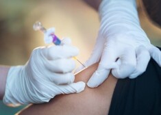 Иллюстративное фото