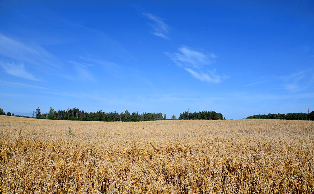 Support for young farmers will amount to € 4.44 million in August