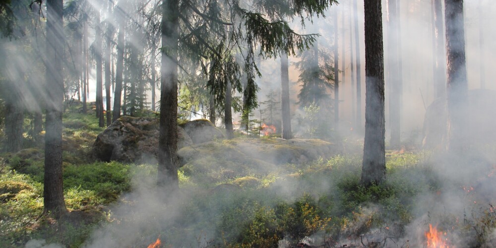 Удалось ликвидировать длившийся почти неделю пожар в Вентпилсском крае