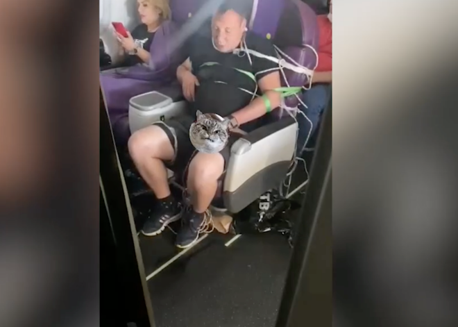 Приставал к людям, помочился на пол... Поведение пьяного пассажира самолета попало на видео