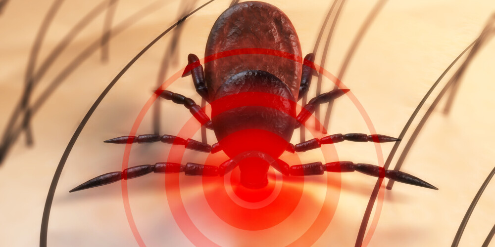 Клещевой энцефалит (весенне-летний клещевой менингоэнцефалит) — природно-очаговая вирусная инфекция, характеризующаяся лихорадкой, интоксикацией и поражением серого вещества головного мозга и/или оболочек головного и спинного мозга (менингит и менингоэнцефалит). Заболевание может привести к стойким неврологическим и психиатрическим осложнениям и даже к смерти больного. Люди и животные заражаются энцефалитом через укусы иксодовых клещей.Носителями вируса по статистике являются шесть клещей из ста (при этом заболеть от заражённой особи могут от 2 до 6 % укушенных людей) в зависимости от региона.