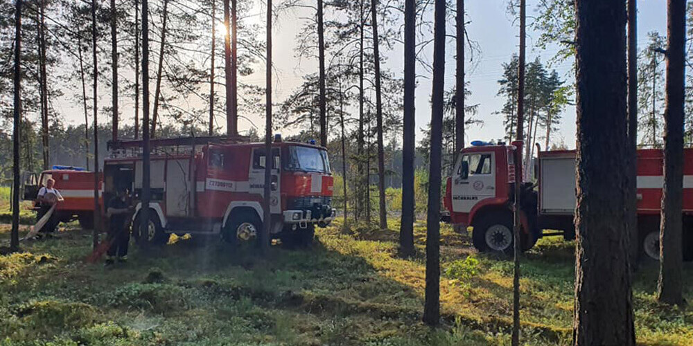 Turpinās meža ugunsgrēka dzēšana Siguldas pusē