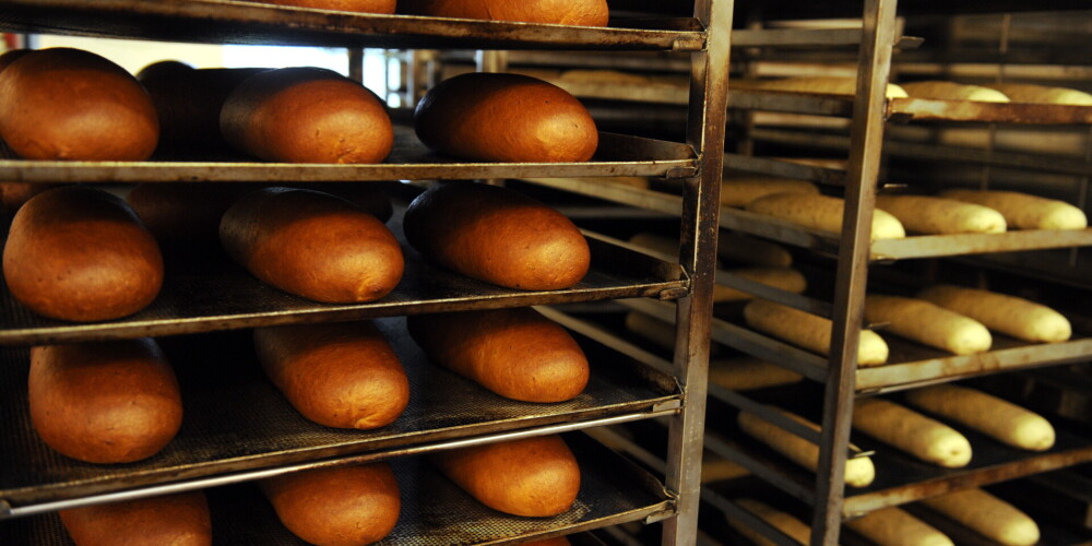 В ЕС при выпечке хлеба разрешено использовать желтых мучных червей. Готова ли к этому Латвия?
