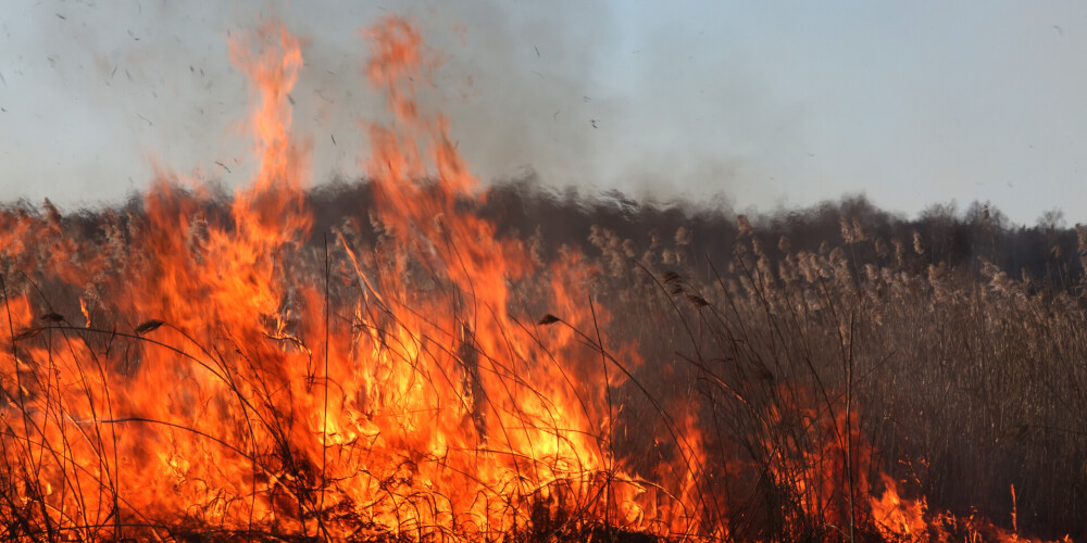 Почти по всей Латвии сохраняется высокая пожароопасность