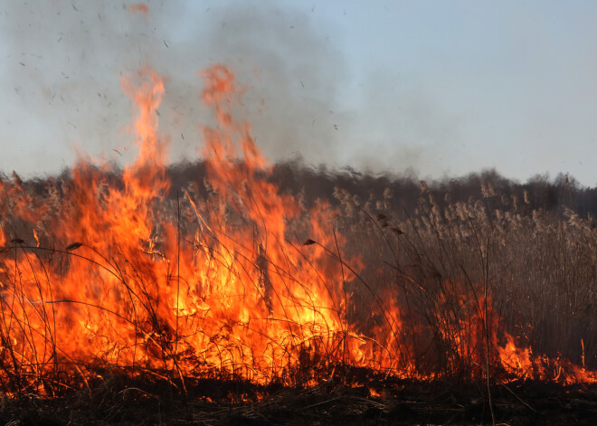 Почти по всей Латвии сохраняется высокая пожароопасность