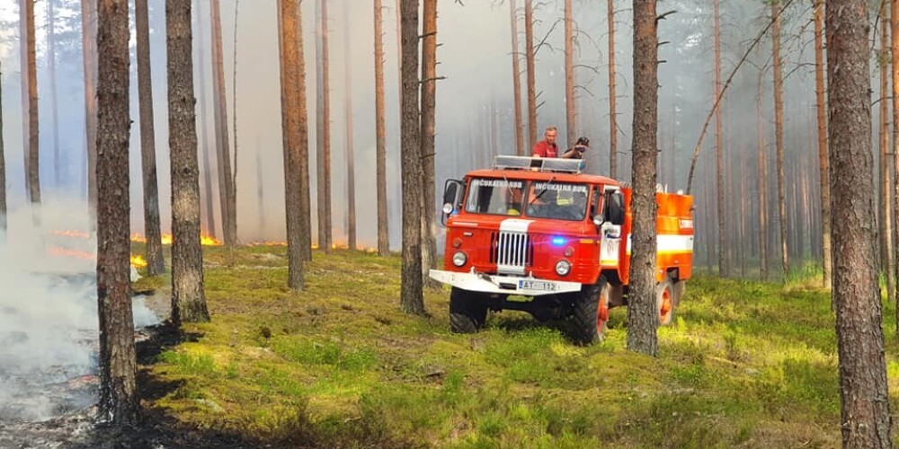 Лесные пожары в Инчукалнсе и Энгуре продолжают тушить
